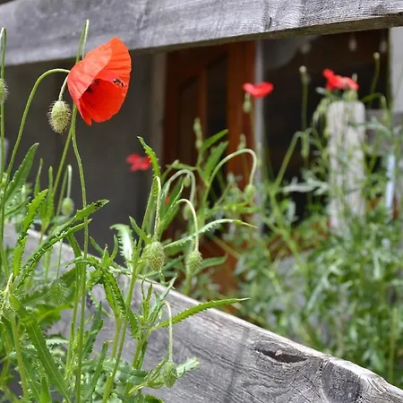 Holiday Farmhouse Skvor Robidisce Exterior photo